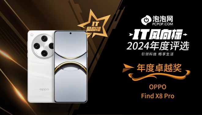 2024年度评选：年度卓越奖凯发k8网站【IT风向标】(图8)