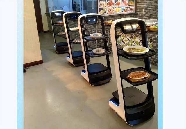 器人的泡沫破灭得如此之快！仅半年半月回本的幻梦破灭机(图3)